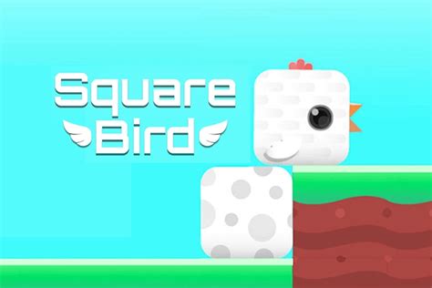 square bird poki|Square Bird Online .